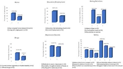 Psychosocial wellbeing and risky health behaviors among Syrian adolescent refugees in South Beirut: a study using the HEEADSSS interviewing framework